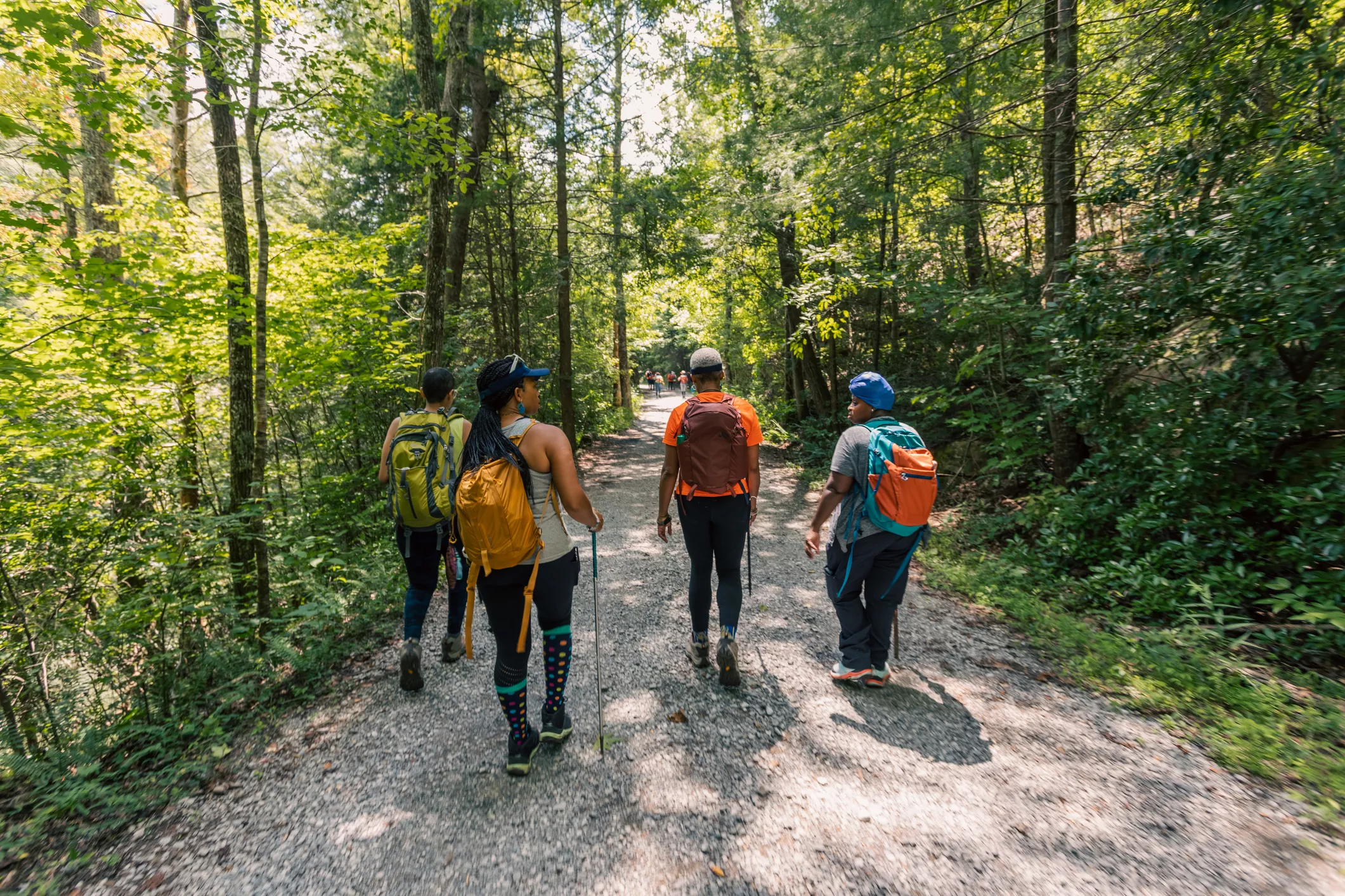 Explore GA Parks